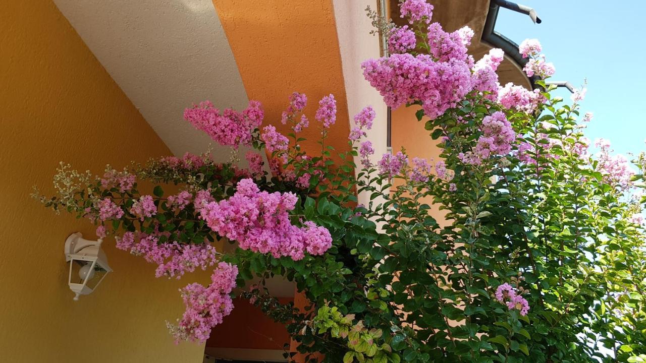 B&B Villa Giulia Desenzano del Garda Eksteriør bilde