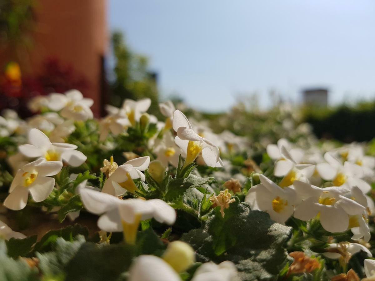 B&B Villa Giulia Desenzano del Garda Eksteriør bilde